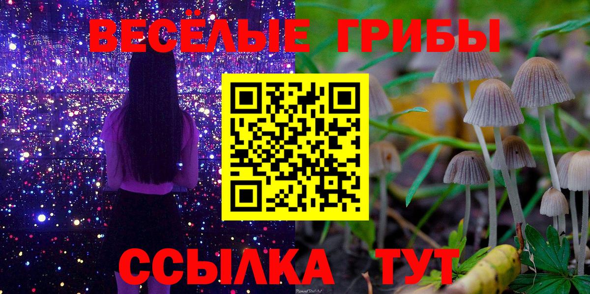 Галлюциногенные грибы MAGIC MUSHROOMS Трёхгорный